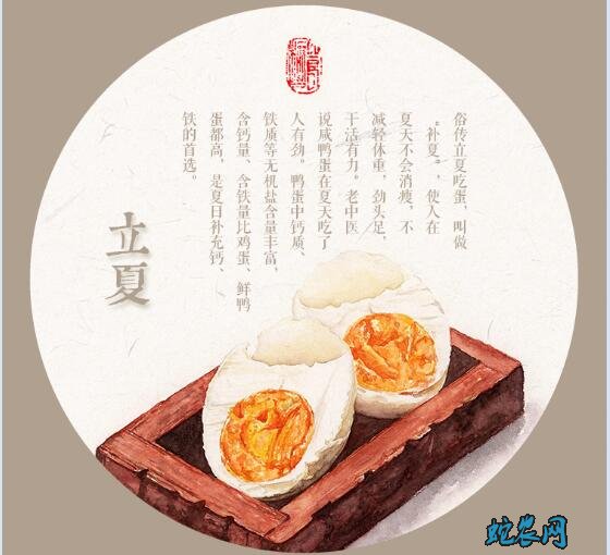 立夏的风俗和禁忌有哪些 文化习俗 蛇农网