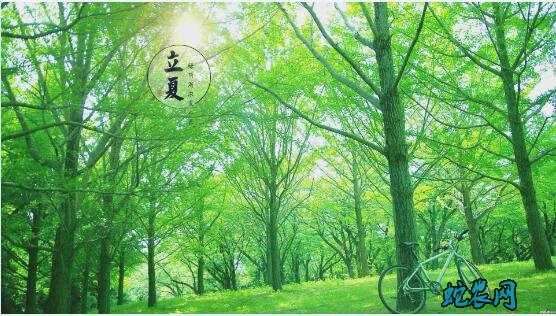 2020年立夏是几月几日?立夏的风俗和禁忌有哪些?