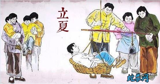 2020年立夏是几月几日?立夏的风俗和禁忌有哪些?