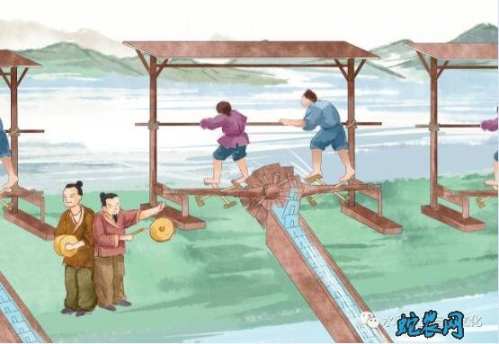 2020年小满是几月几日?小满的风俗和禁忌有哪些?