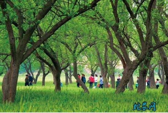 陕西阎良:种养结合 物尽其用