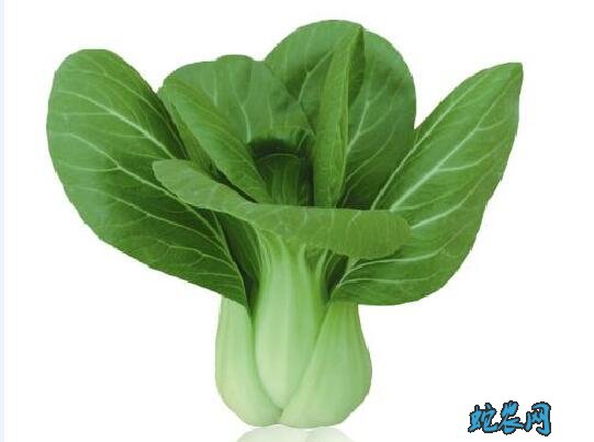 有什么青菜?日常说的青菜有哪几种青菜?