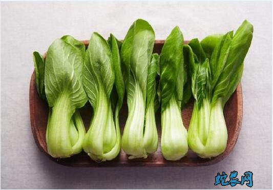 有什么青菜?日常说的青菜有哪几种青菜?