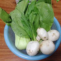 大叶青菜、大叶青菜有哪些名称