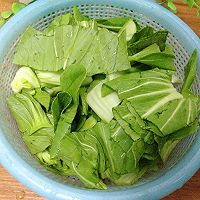 大叶青菜、大叶青菜有哪些名称