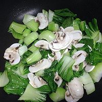 大叶青菜、大叶青菜有哪些名称