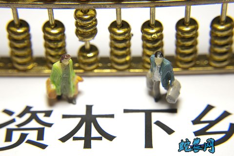 2020年国家鼓励农村投资的12个重点产业和领域