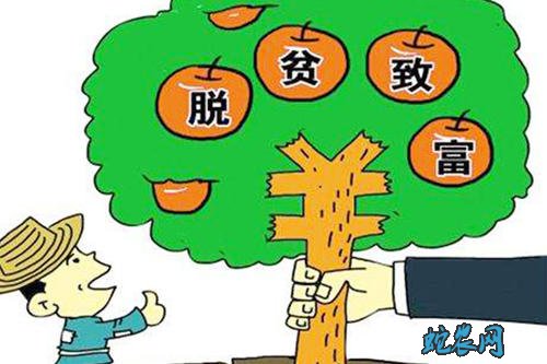 江西武宁县七彩农业产业撑起精准脱贫致富梦！
