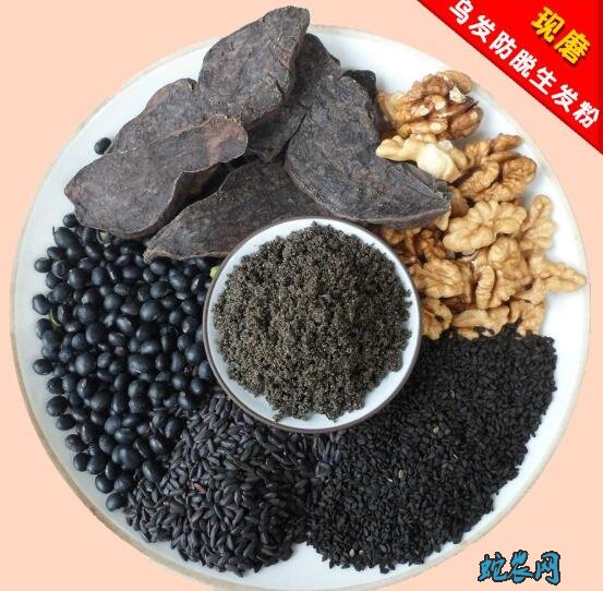 何首乌能治白发吗