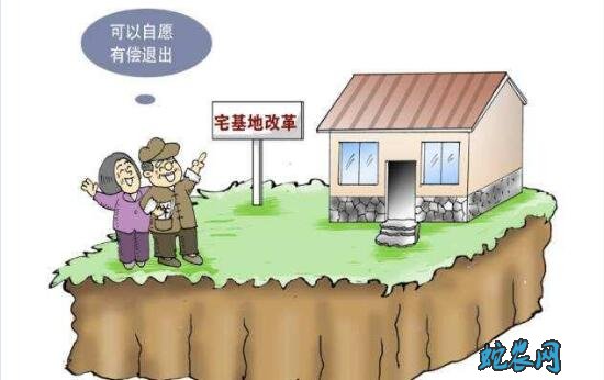 2020年把农村宅基地有偿退出最新政策
