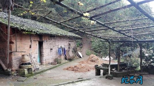 2020年把农村宅基地有偿退出最新政策