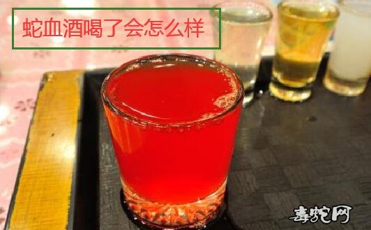 蛇血酒喝了会怎么样