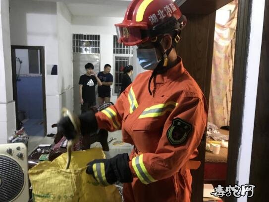 湖北浠水:毒蛇“土地婆”闯入教师家中!消防立即出手!