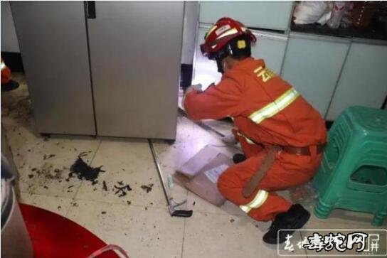 昭通男子沙发睡觉,醒来发现一条大蛇窗台上爬!结果抓两条!