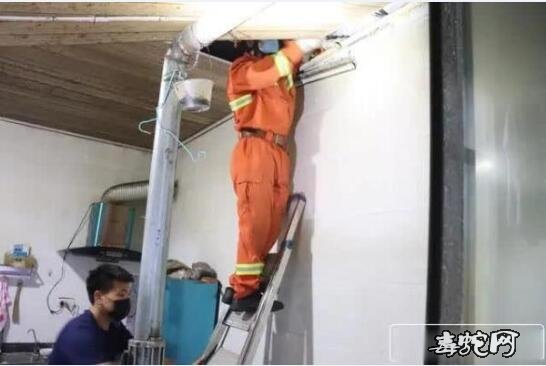 昭通男子沙发睡觉,醒来发现一条大蛇窗台上爬!结果抓两条!