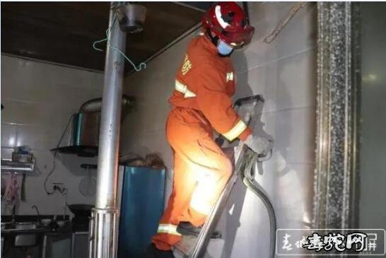 昭通男子沙发睡觉,醒来发现一条大蛇窗台上爬!结果抓两条!