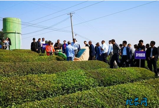 湖南:15个县市区推进山丘区果菜茶机械化生产