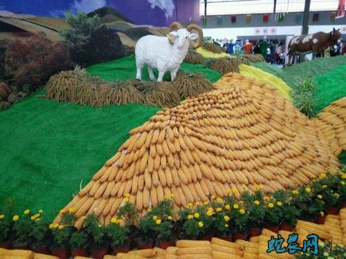 重庆多措并举稳定农产品对外贸易