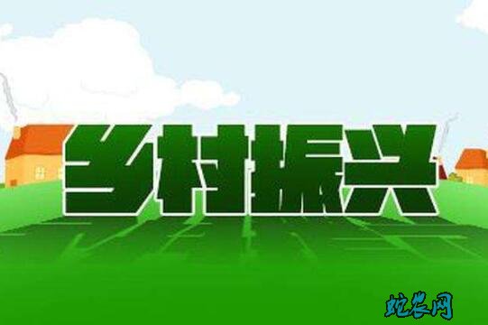 短视频支持乡村振兴潜能巨大