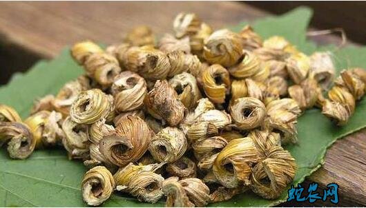 铁皮石斛的吃法