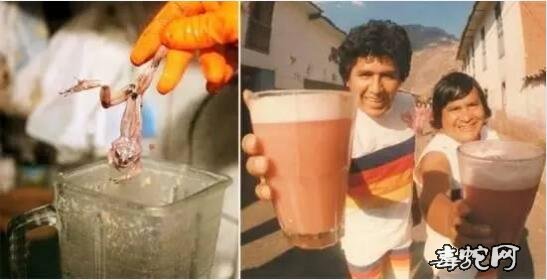 秘鲁青蛙汁制作过程