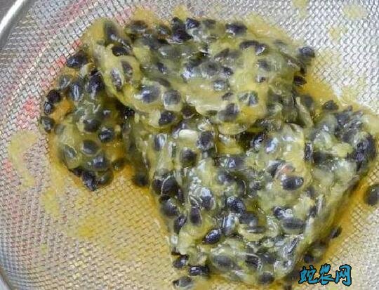 百香果籽的播种方法