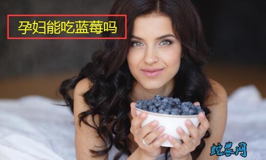 孕妇能吃蓝莓吗