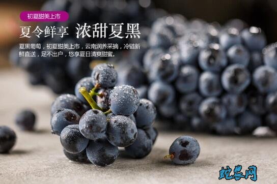 夏黑葡萄的功效与作用