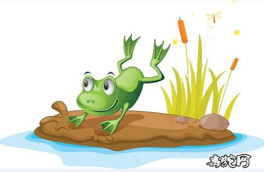 青蛙卡通可爱图片10