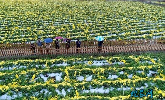 江西赣南:脱贫攻坚铺就小康之路