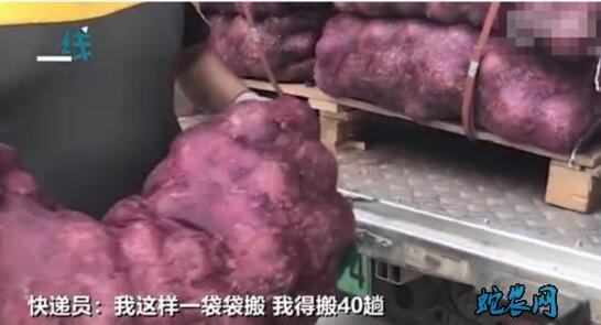 女孩网购1吨洋葱送前男友