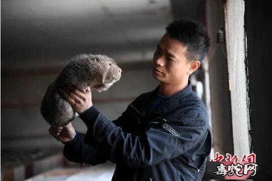疫情后广西养竹鼠养蛇养蛙别慌!30多亿扶贫资金优先扶持转产!
