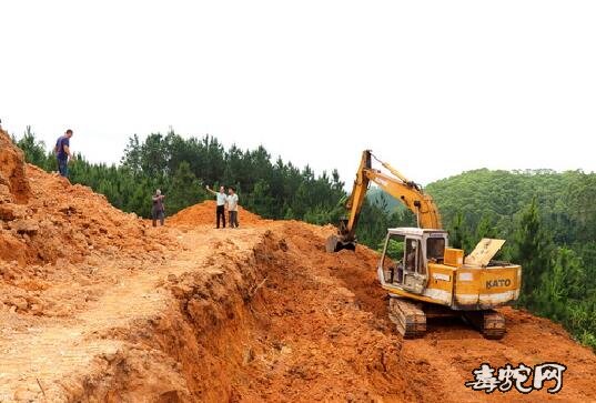 广西灵山养蛇能手转型“养猪倌”！规划在建养猪场占地4千多平米！