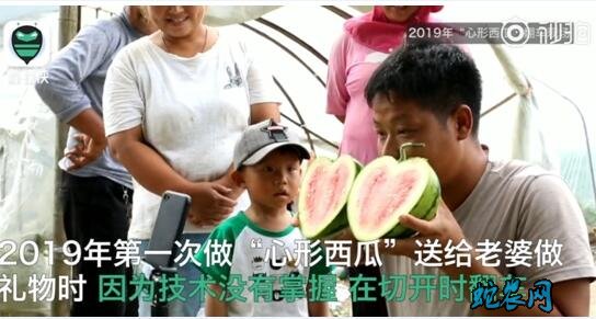瓜农种心形西瓜520赠爱妻!感动了一大片网友!
