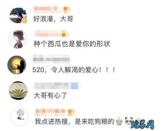 瓜农种心形西瓜520赠爱妻!感动了一大片网友!