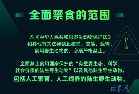 武汉:全面禁止食用野生动物 严格野生动物保护管理