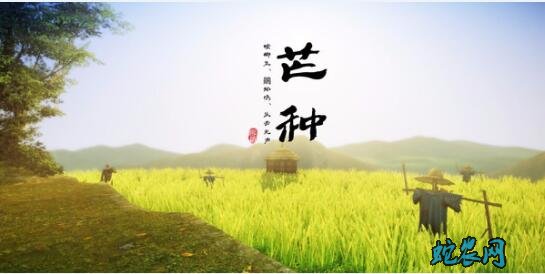2020年芒种是几月几日?芒种的风俗和禁忌有哪些?