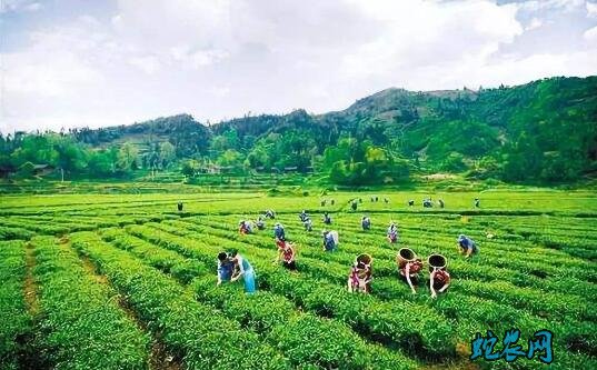 湖南:产业扶贫拓展销售终端