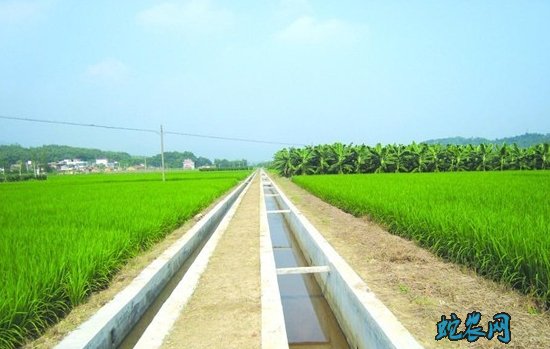 安徽省：着力加强农田建设管理风险防控