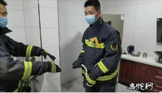 麻城一小区家中毒蛇出没!麻城消防轻松捕蛇!