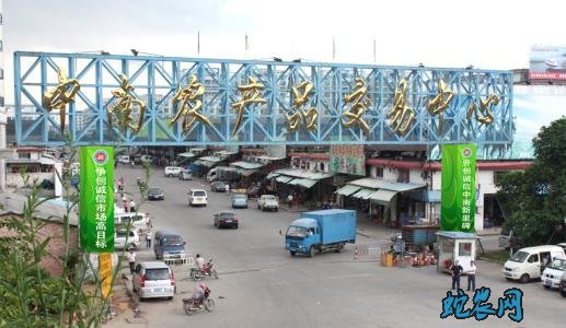 佛山中南市场：猪牛羊交易情况一周分析预测！