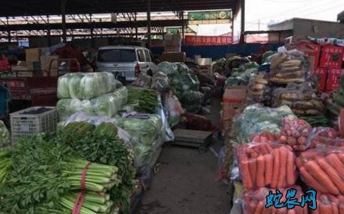 陇西清吉市场:各种蔬菜价格平稳!29个品种有2品种价格微涨!