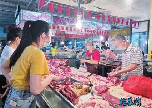 养猪行情、2020年养殖行情怎么样?
