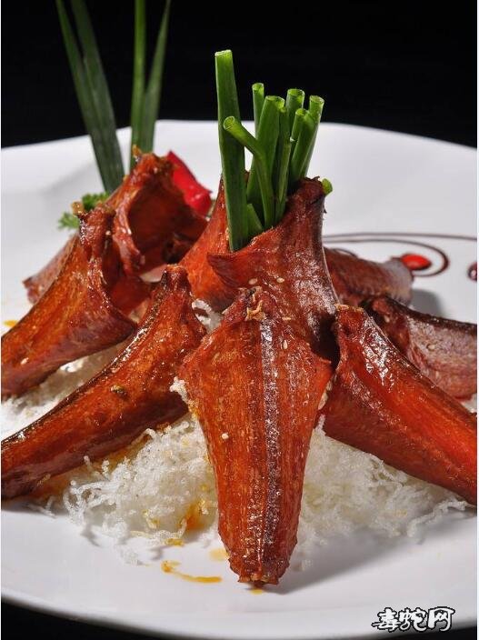 烧蛇肉图片、带您欣赏被禁食的烧蛇肉图片大全!