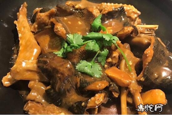 南蛇肉图片、被禁食的各种南蛇肉美食图片回顾!