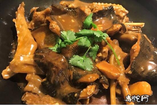 南蛇肉图片、被禁食的各种南蛇肉美食图片回顾！