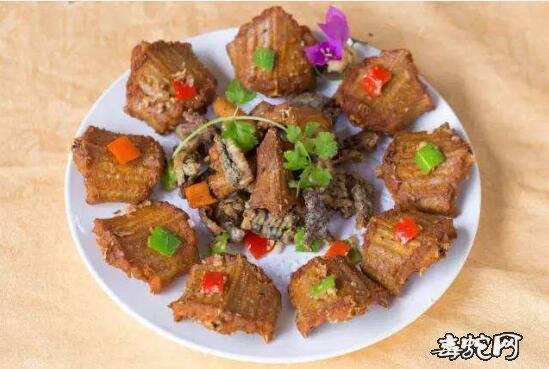 南蛇肉图片、被禁食的各种南蛇肉美食图片回顾!