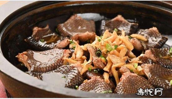 南蛇肉图片、被禁食的各种南蛇肉美食图片回顾!