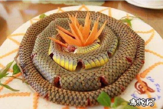蛇肉照片、回顾一下被禁食的蛇肉美餐都是什么样子的？