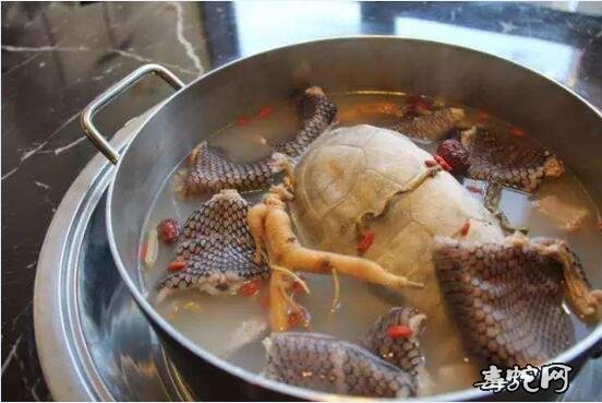 蛇肉照片、回顾一下被禁食的蛇肉美餐都是什么样子的?